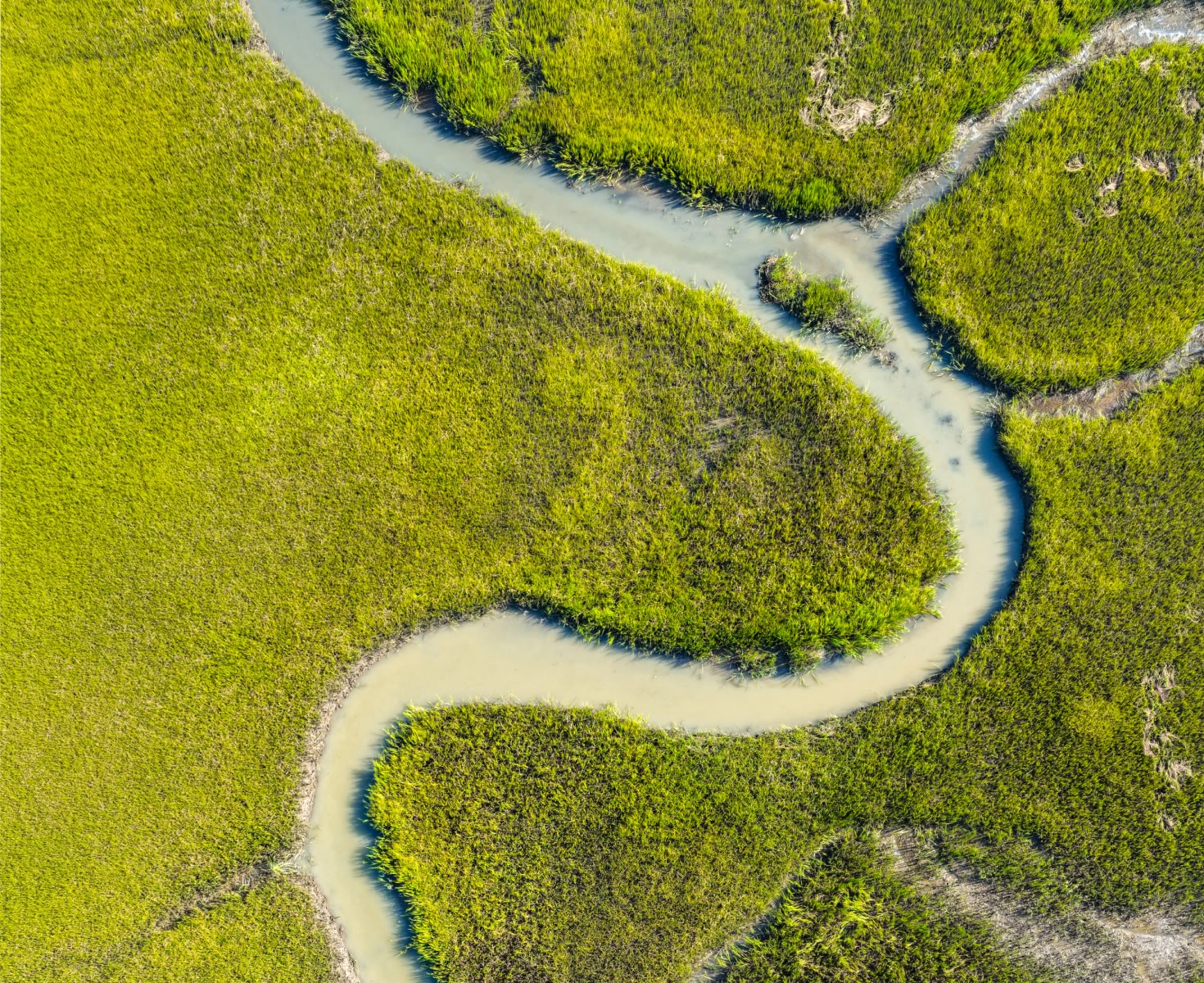 Aerial view of a winding, narrow river cutting through lush, vibrant green marshland.