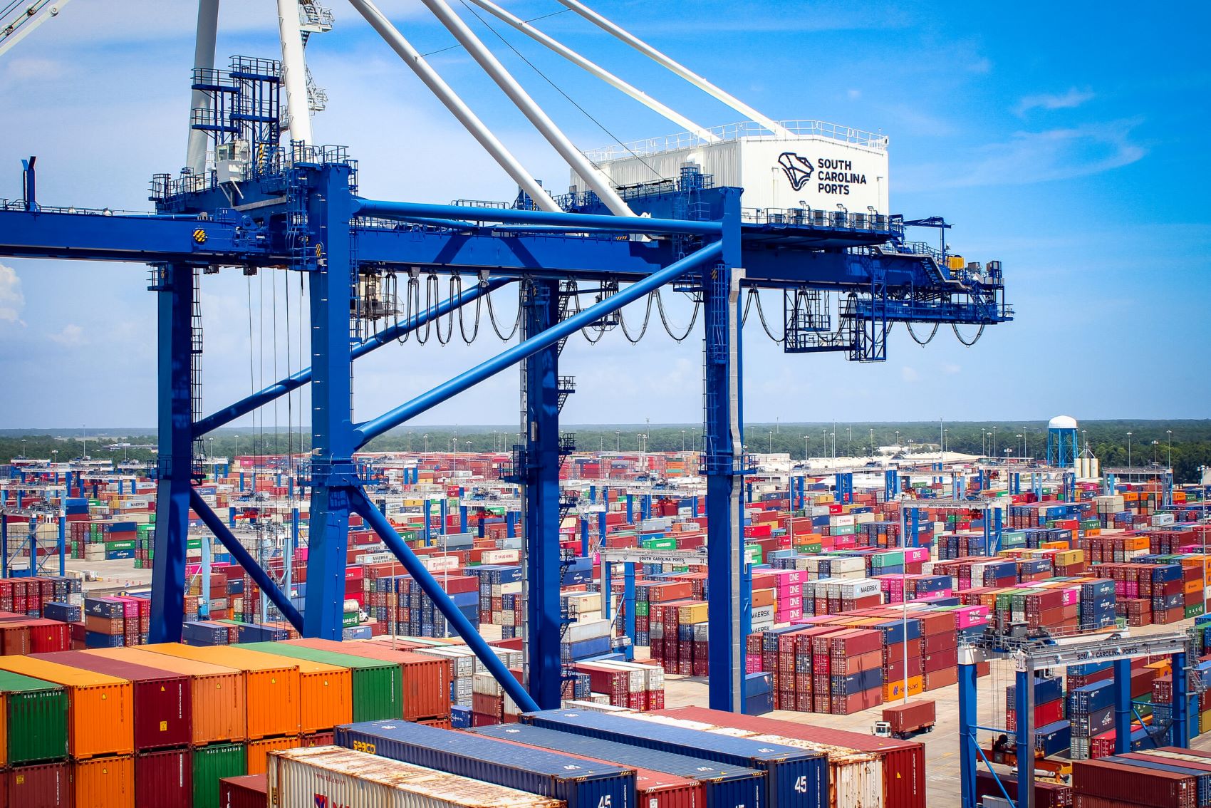 An expansive aerial view of the Wando Welch Terminal in Mount Pleasant near Charleston, SC. The image shows rows of colorful shipping containers stacked across the terminal, several large blue ship-to-shore cranes lined up along the wharf.